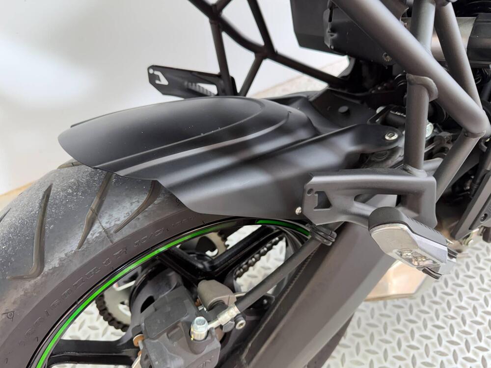 Kawasaki Versys 650 (2025 - 26) (3)