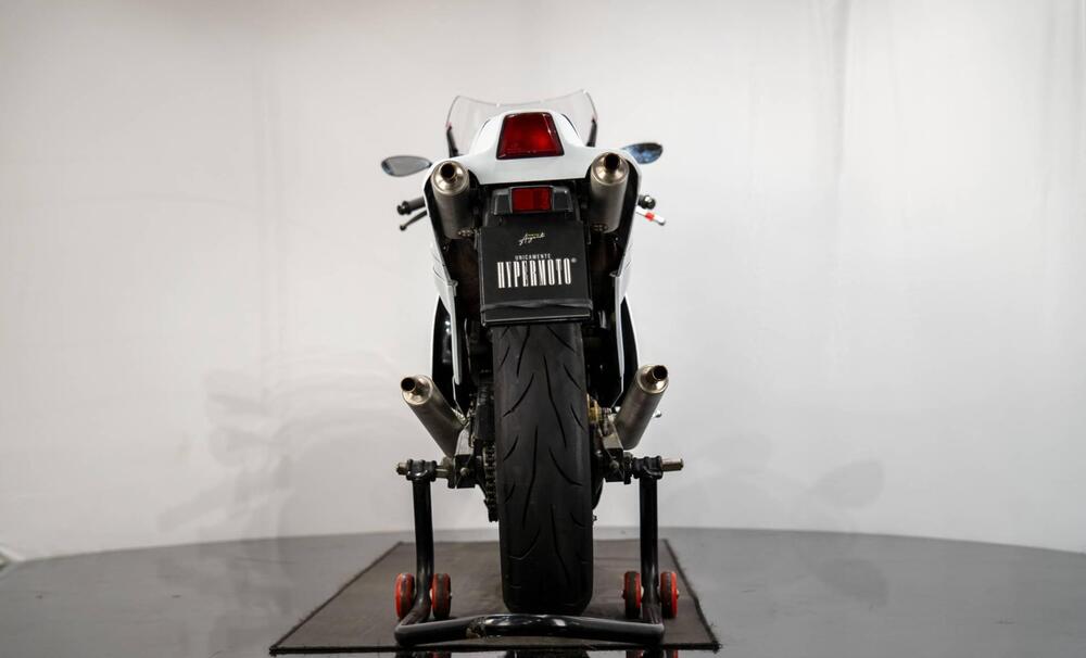 Suzuki RG 500 GAMMA (5)