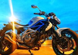 Suzuki Gladius 650 SFV (2009 - 15) usata