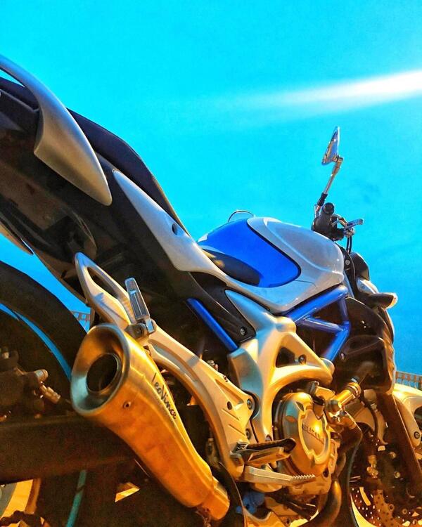 Suzuki Gladius 650 SFV (2009 - 15) (3)