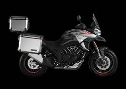 Morbidelli T1002VX (2024 - 25) nuova