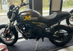Voge Trofeo 525ACX Scrambler (2023 - 25) usata
