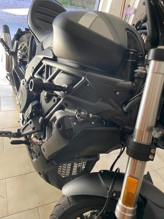 Benelli 502 C (2021 - 25) (5)