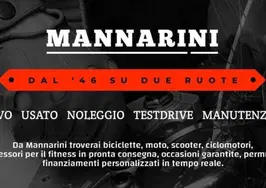 Model.CompanyName