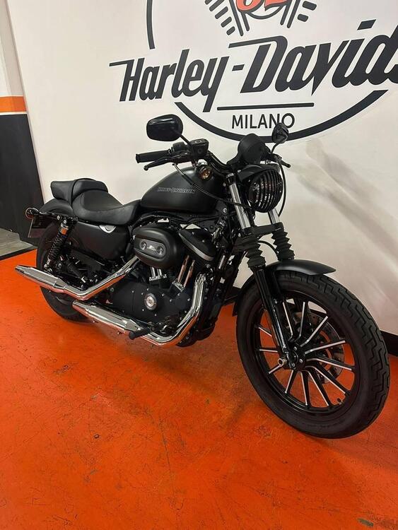 Harley-Davidson 883 Iron (2009 - 11) - XL 883N (2)