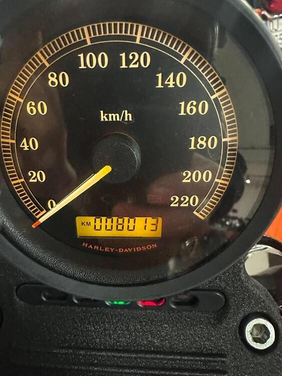 Harley-Davidson 883 Iron (2009 - 11) - XL 883N (4)