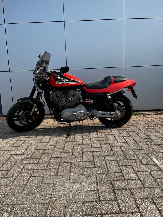 Harley-Davidson 1200 XR (2009 - 12) (5)