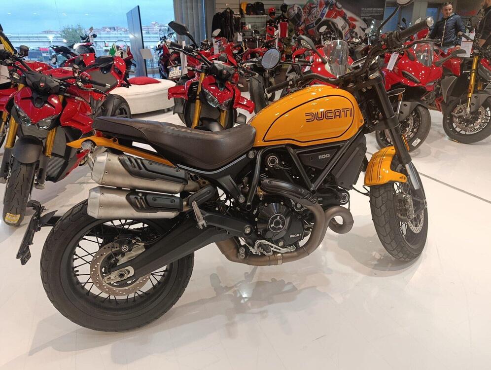 Ducati Scrambler 1100 Tribute Pro (2022 - 24) (3)
