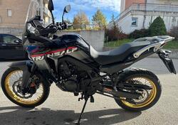 Honda Transalp XL750 (2025) usata