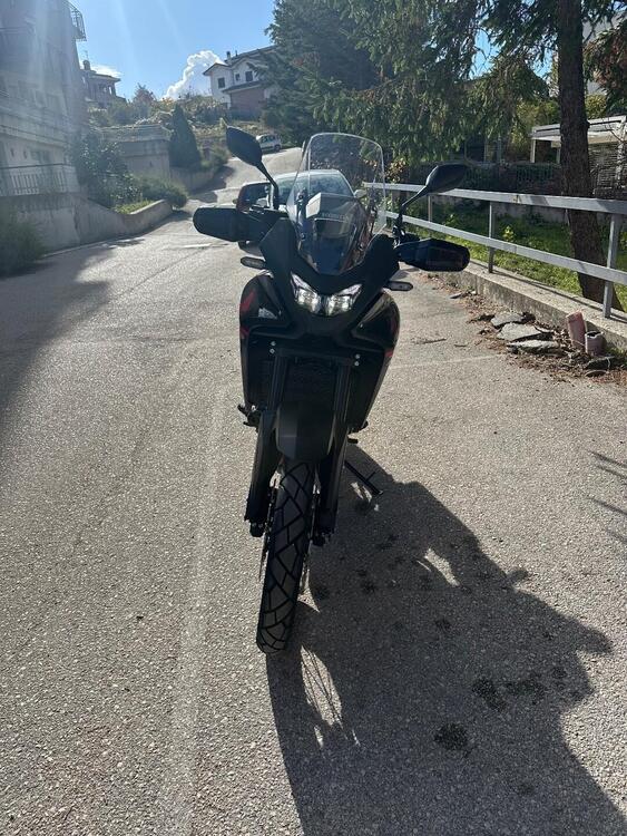 Honda Transalp XL750 (2025) (3)