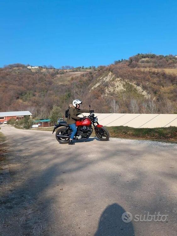 Moto Guzzi V7 Stone (2021 - 24) (3)