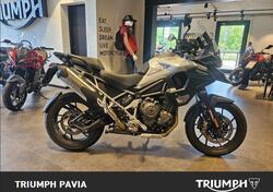 Triumph Tiger 1200 GT Pro (2024 - 25) usata