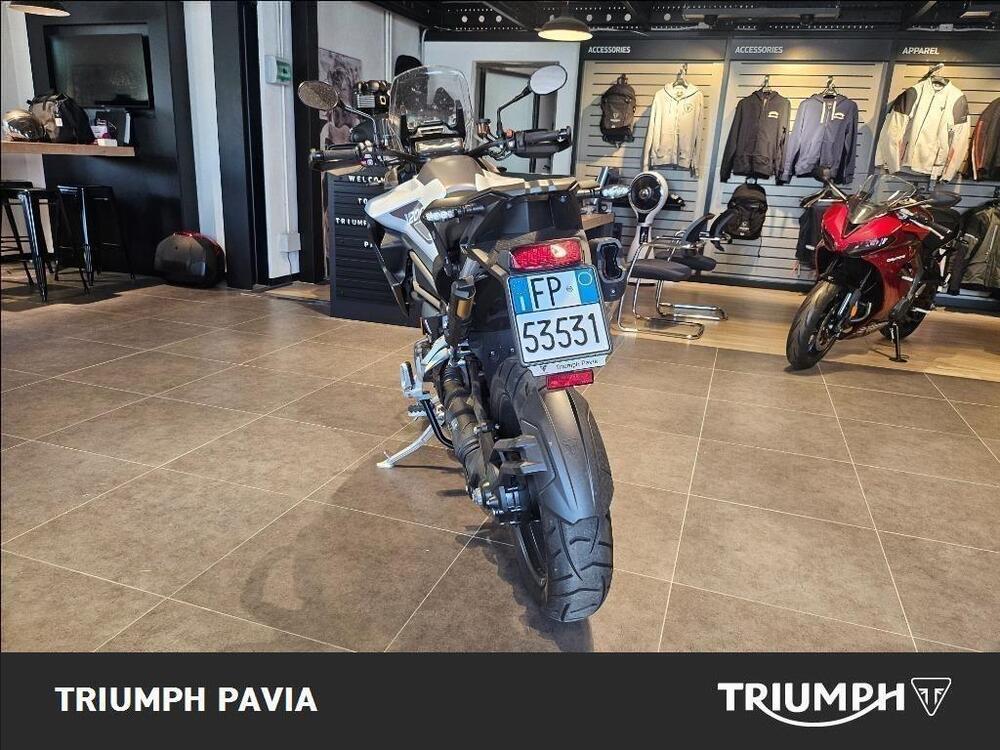 Triumph Tiger 1200 GT Pro (2024 - 25) (4)