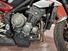 Triumph Street Triple R (2017 - 20) (9)