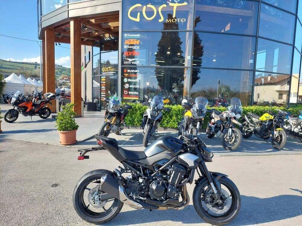 Kawasaki Z 900 (2025 - 26)