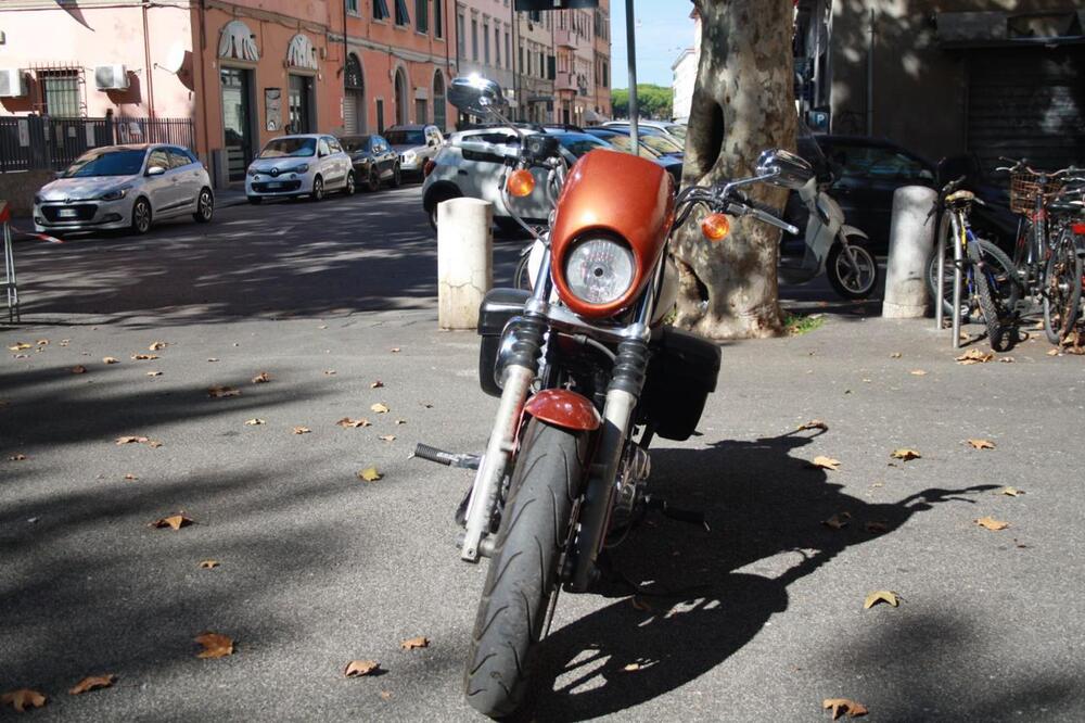 Harley-Davidson 883 Low (2008 - 12) - XL 883L (4)