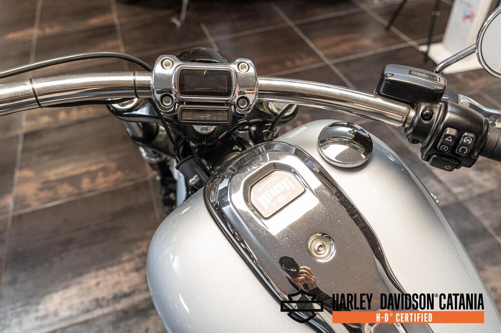 Harley-Davidson Softail Standard (2021 - 25) (5)