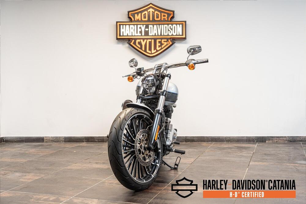 Harley-Davidson Softail Standard (2021 - 25) (2)