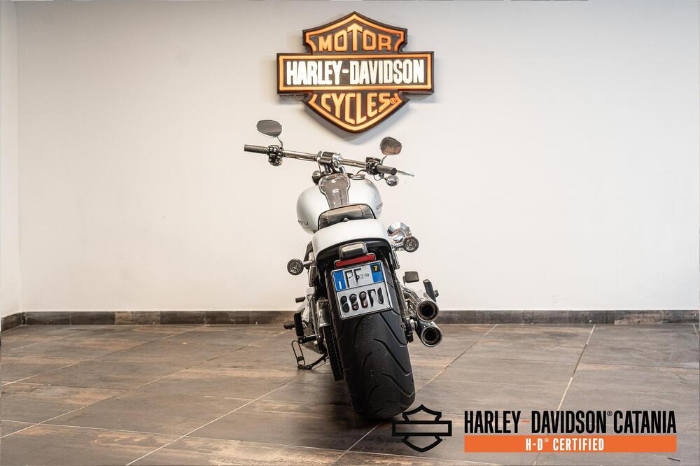 Harley-Davidson Softail Standard (2021 - 25) (4)