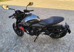 Triumph Trident 660 (2021 - 24) usata