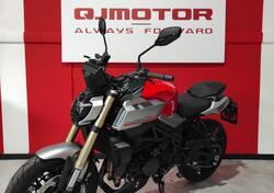 QJ Motor SRK 900 (2025) nuova