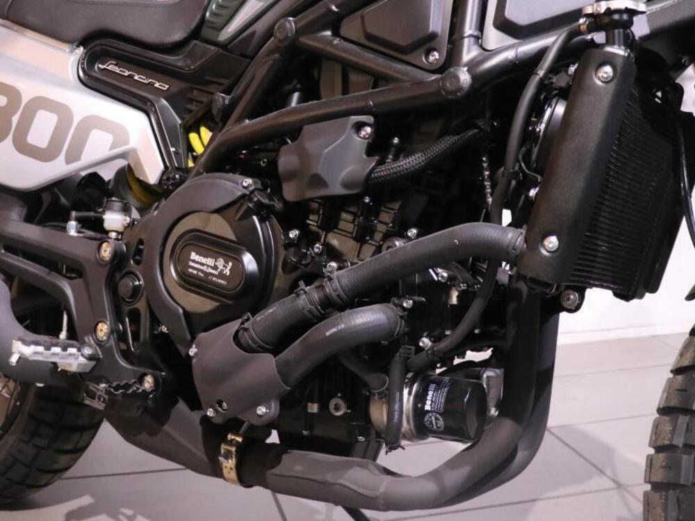 Benelli Leoncino 800 (2022 - 25) (3)