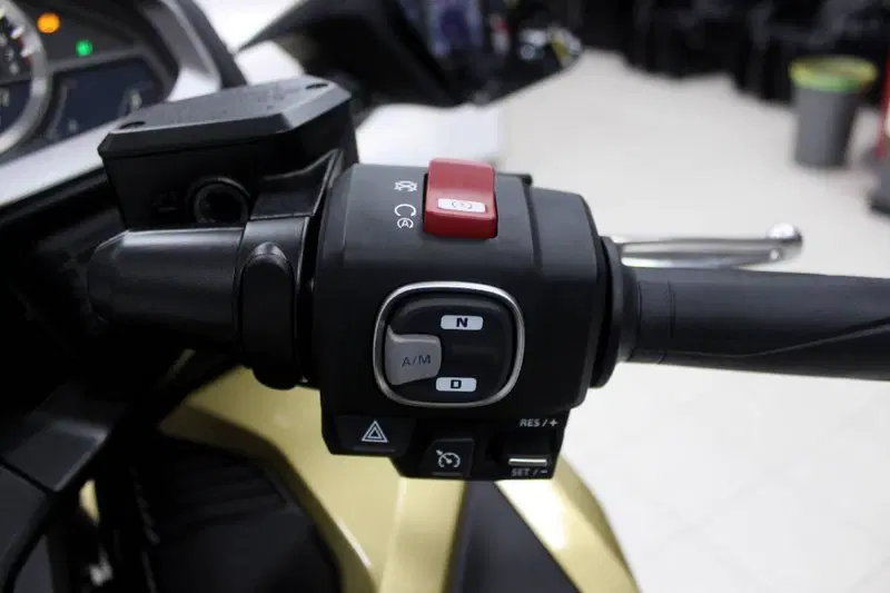 Honda GL 1800 Gold Wing Tour 50° Anniversario (2025 - 26) (8)