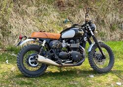 Triumph Scrambler (2006 - 17) usata