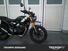 Triumph Scrambler 400 X (2024 - 25) (8)
