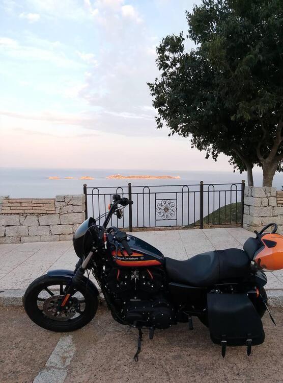 Harley-Davidson 1200 Iron (2018 - 20) - XL1200N (2)