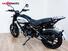 Ducati Scrambler 1100 Dark Pro (2020 - 24) (6)