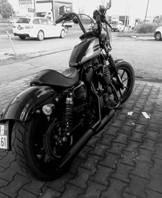 Harley-Davidson 1200 Iron (2018 - 20) - XL1200N (4)