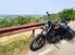 Harley-Davidson 1200 Iron (2018 - 20) - XL1200N (6)
