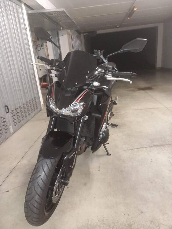 Kawasaki Z 900 (2017 - 18) (5)