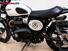 Triumph Street Scrambler 900 (2017 - 18) (10)