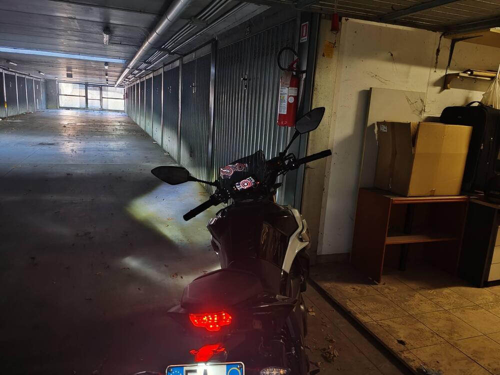 CFMOTO 650NK (2021 - 24) (4)