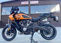 Harley-Davidson Pan America 1250 Special (2020 - 25) usata
