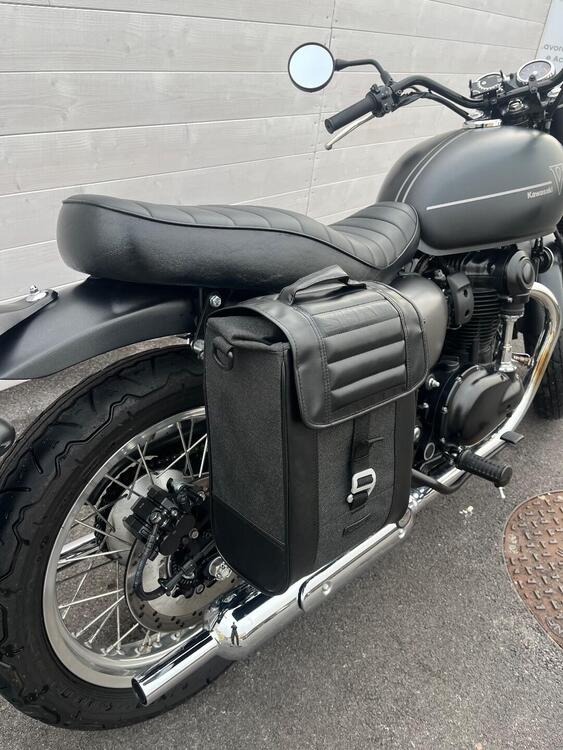 Kawasaki W 800 Street (2019 - 20) (4)