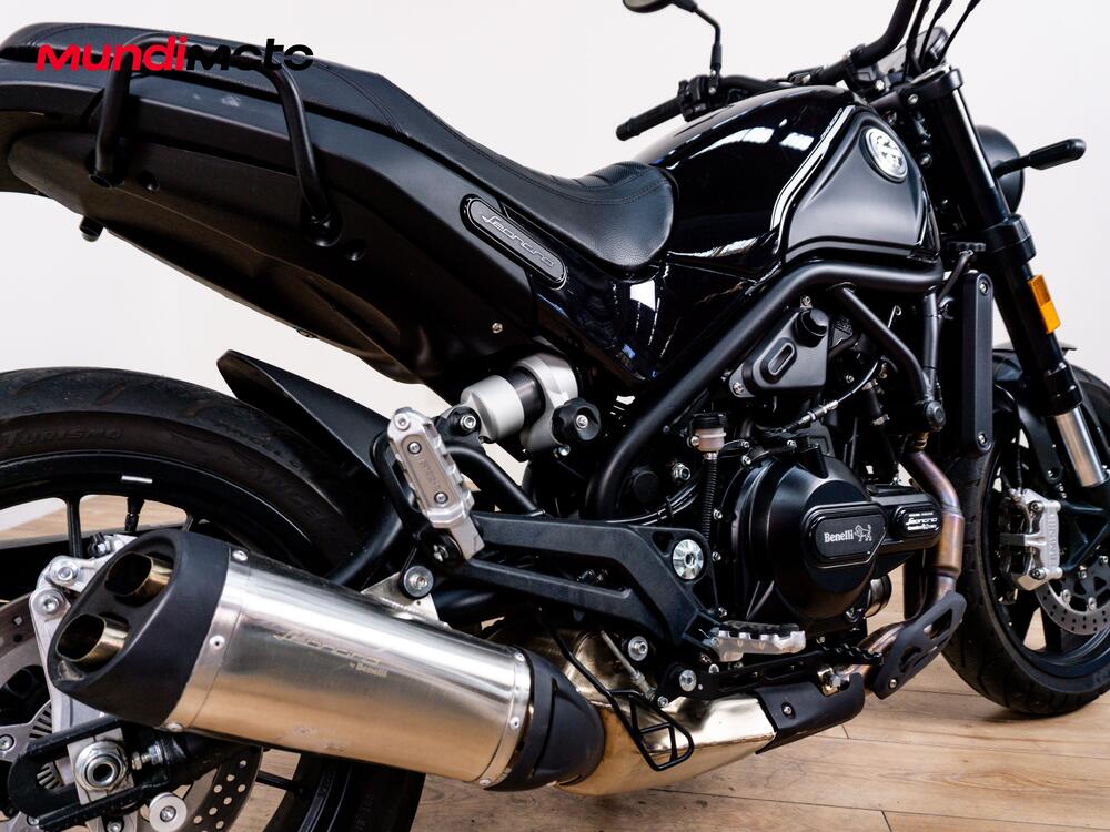 Benelli Leoncino 500 Trail (2021 - 25) (4)