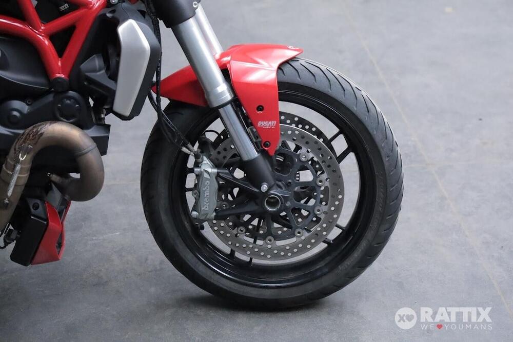 Ducati Monster 1200 (2014 - 16) (3)
