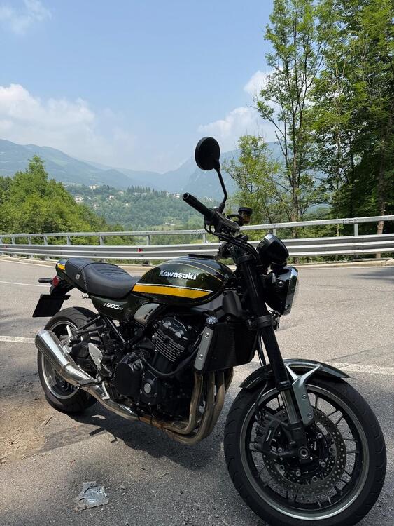 Kawasaki Z 900 RS (2018 - 20) (2)