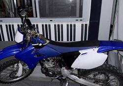 Yamaha WR 250 F (2003 - 04) usata