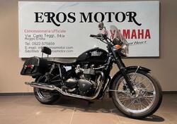 Triumph Bonneville (2007 - 16) usata