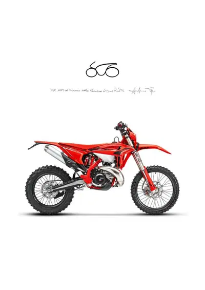 Betamotor RR 300 2T Enduro Race (2026) nuova