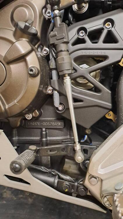 Yamaha Ténéré 700 Extreme Edition (2023 - 25) (4)