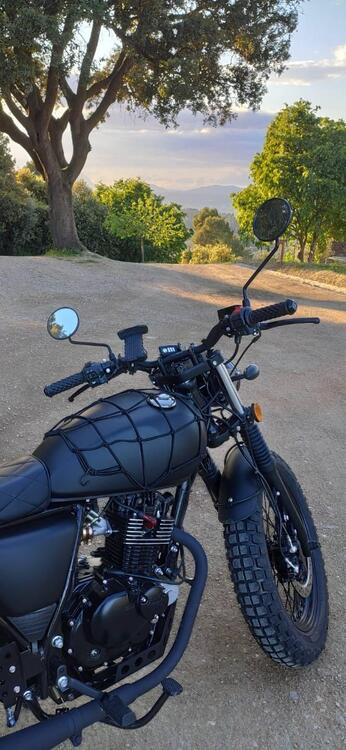 Mutt Motorcycles Fat Sabbath 125 (2021 - 25) (3)