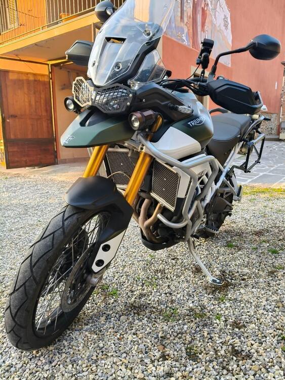 Triumph Tiger 900 Rally Pro (2020 - 23) (3)