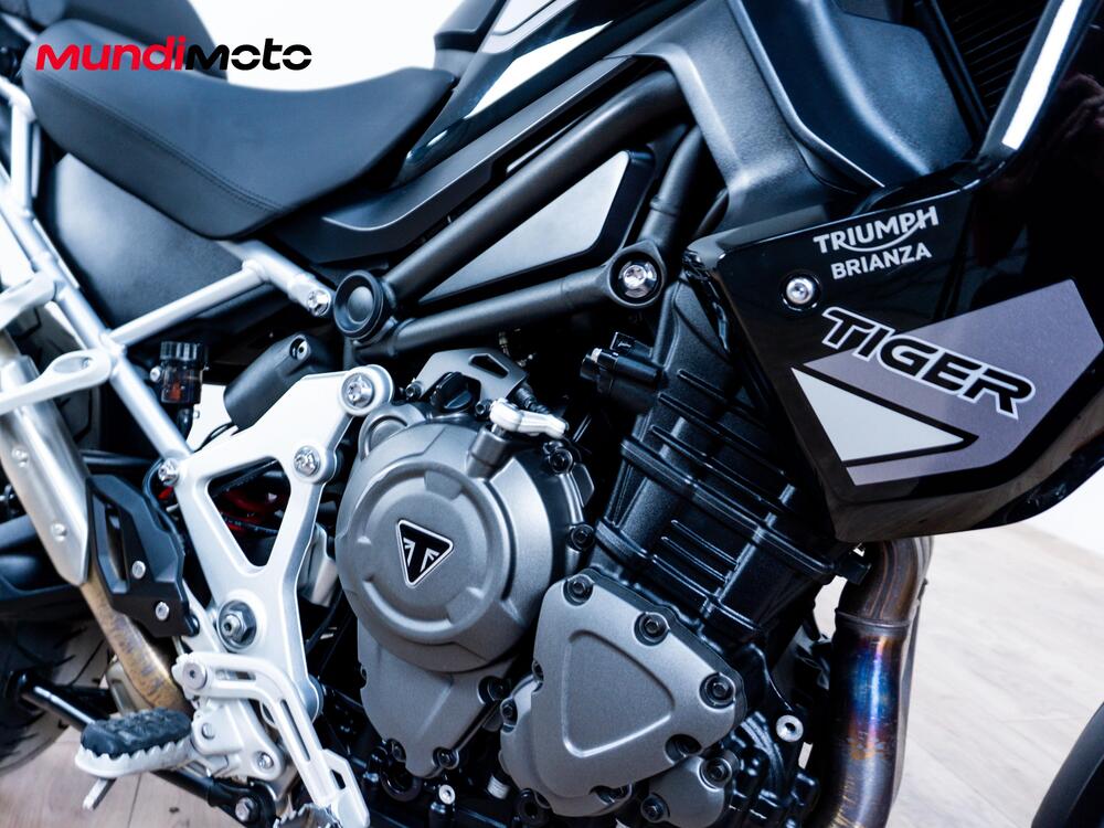 Triumph Tiger 1200 GT Pro (2024 - 25) (4)