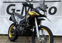 Voge Valico 300 Rally (2022 - 25) usata