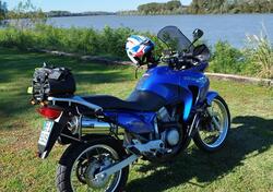 Honda Transalp XL 650V (2000 - 04) usata